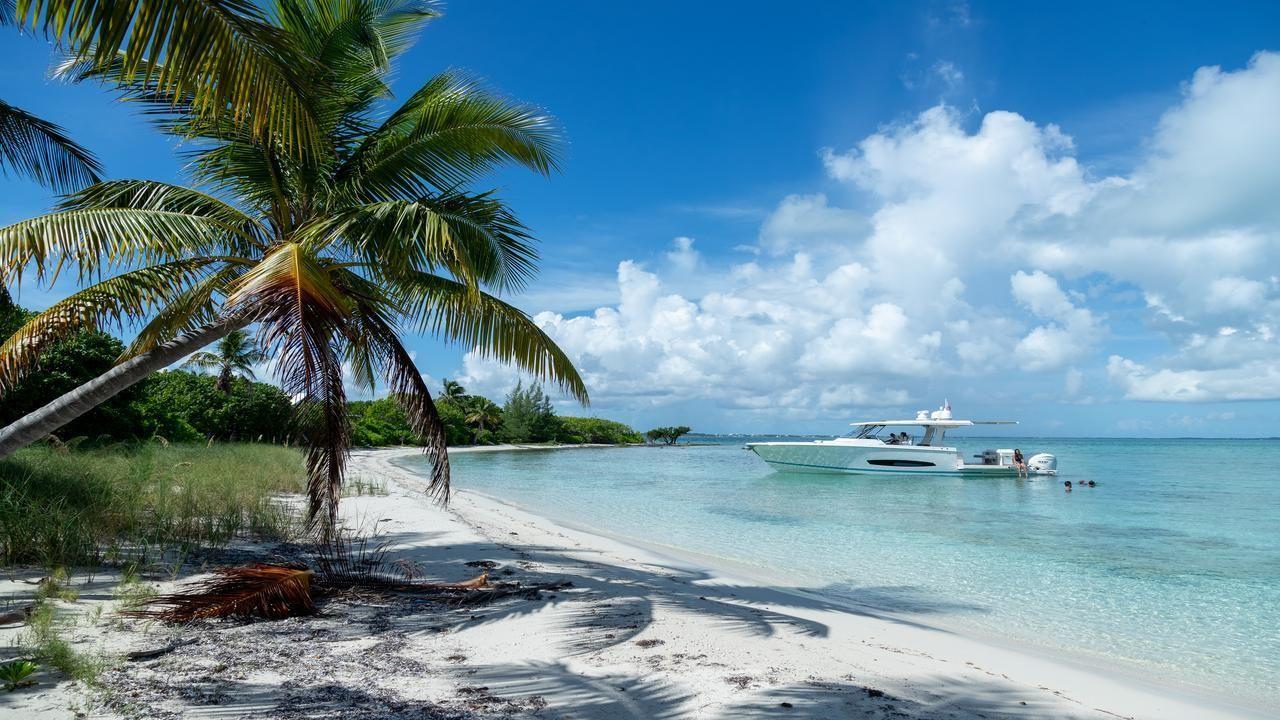 Regal 43 SAV - image 83