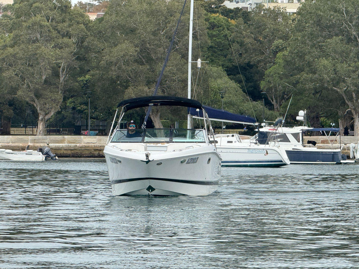 Four Winns H260 - image 40