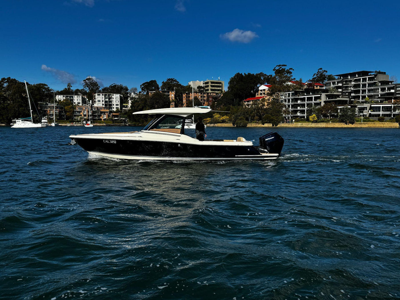 Chris Craft 30 Catalina - image 17